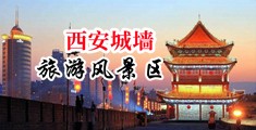 暴操丝袜美女动态图片污中国陕西-西安城墙旅游风景区
